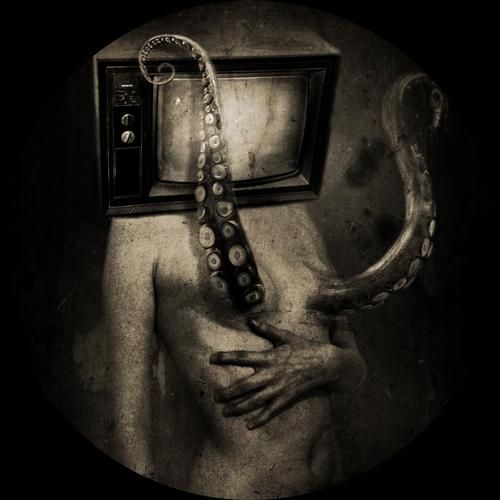 contrast spark taberner 