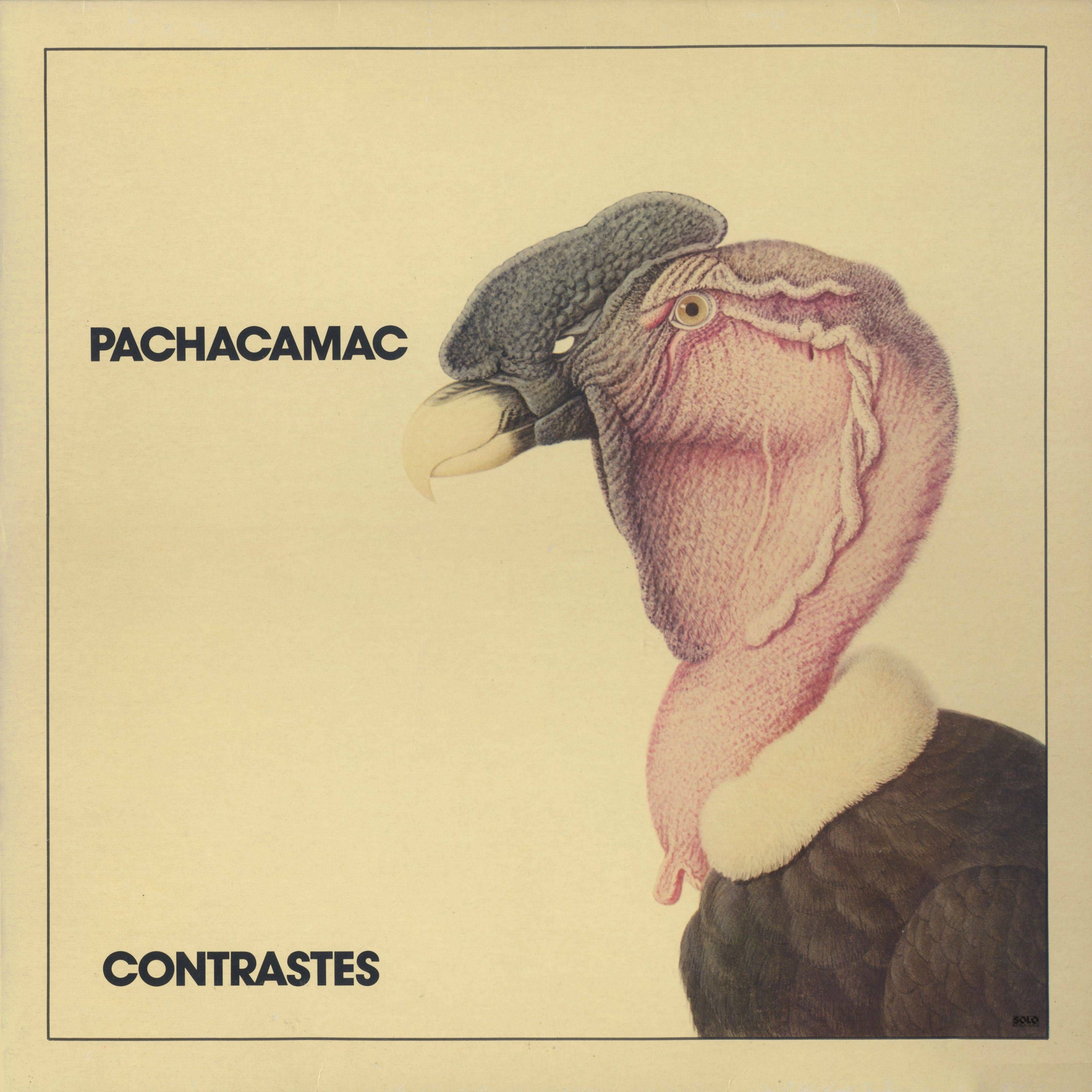 contrastes pachacamac 