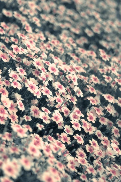 conversations monsoonsiren  