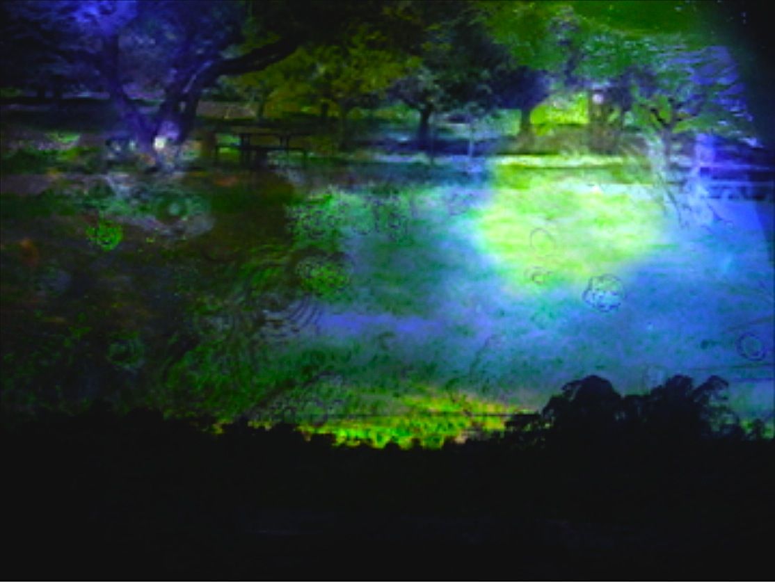 coppicing sean mccann 