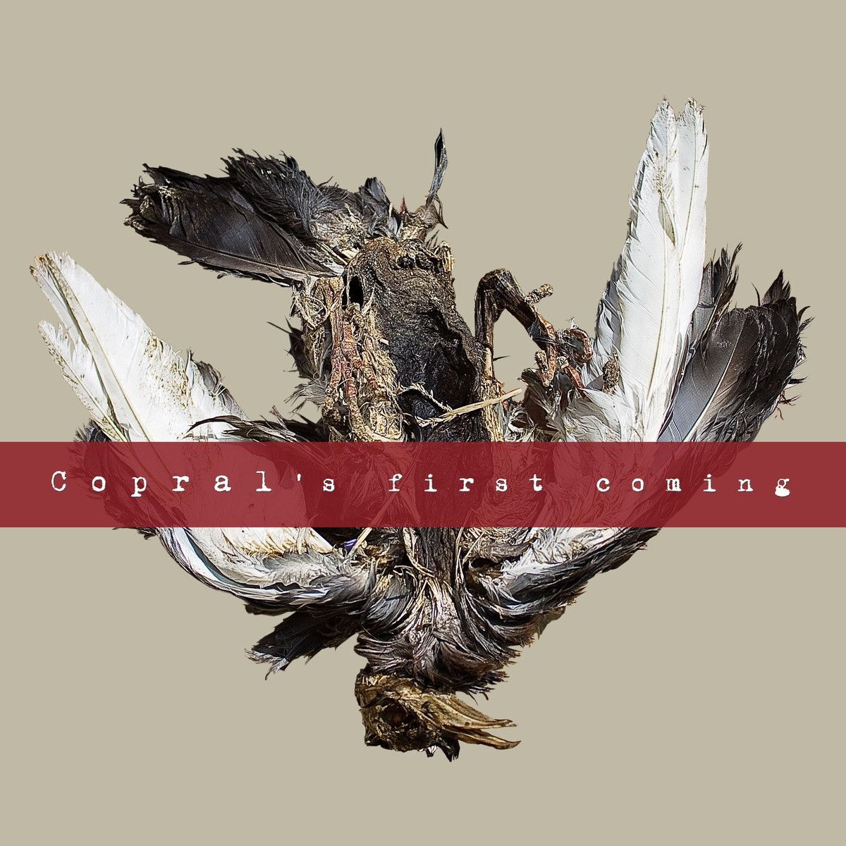 coprals first c copral 