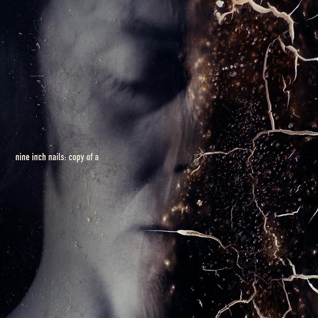 copy of a nine inch nails 