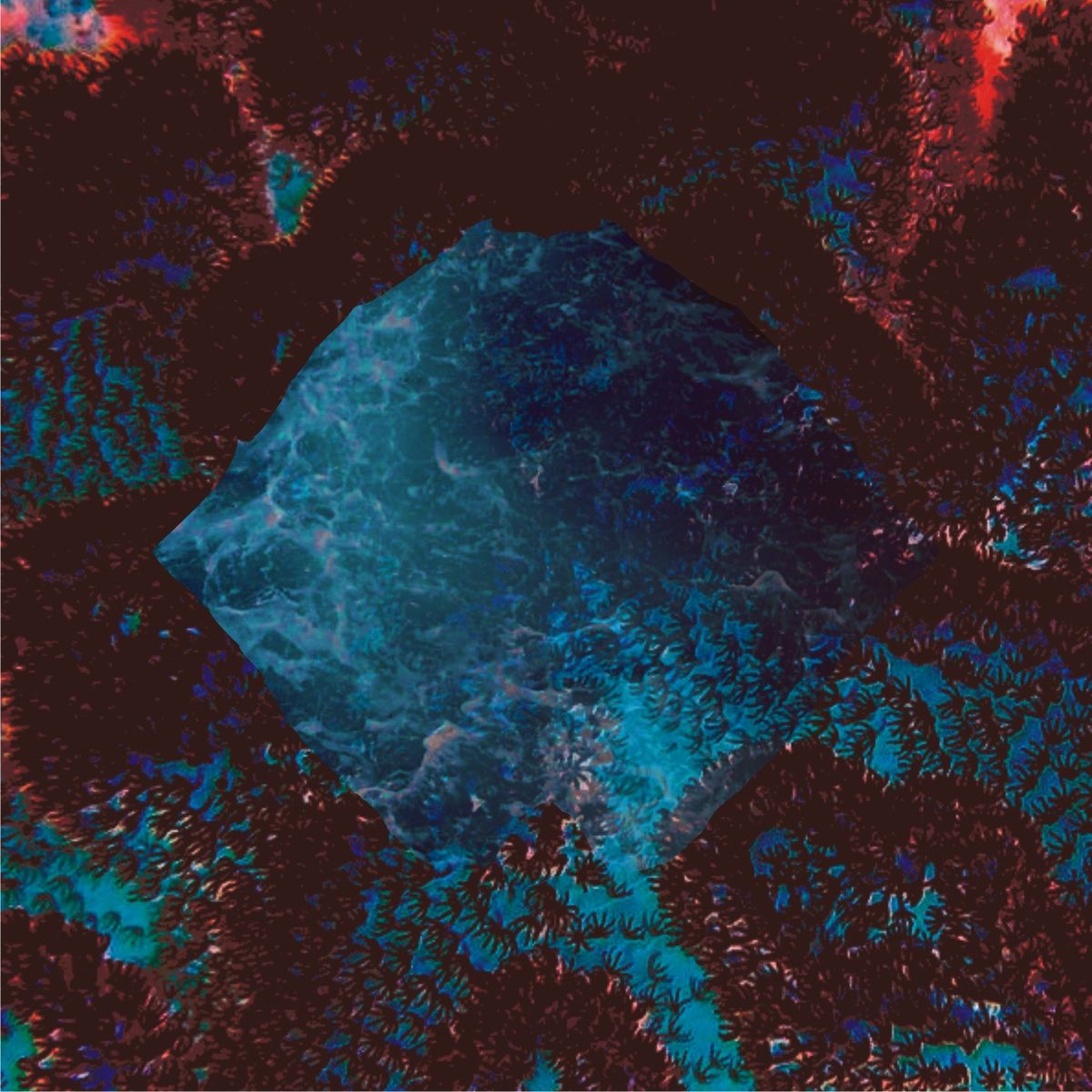 coral dreams kimekai  