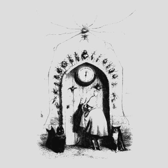 corpo sbagliato er corpoparassita 