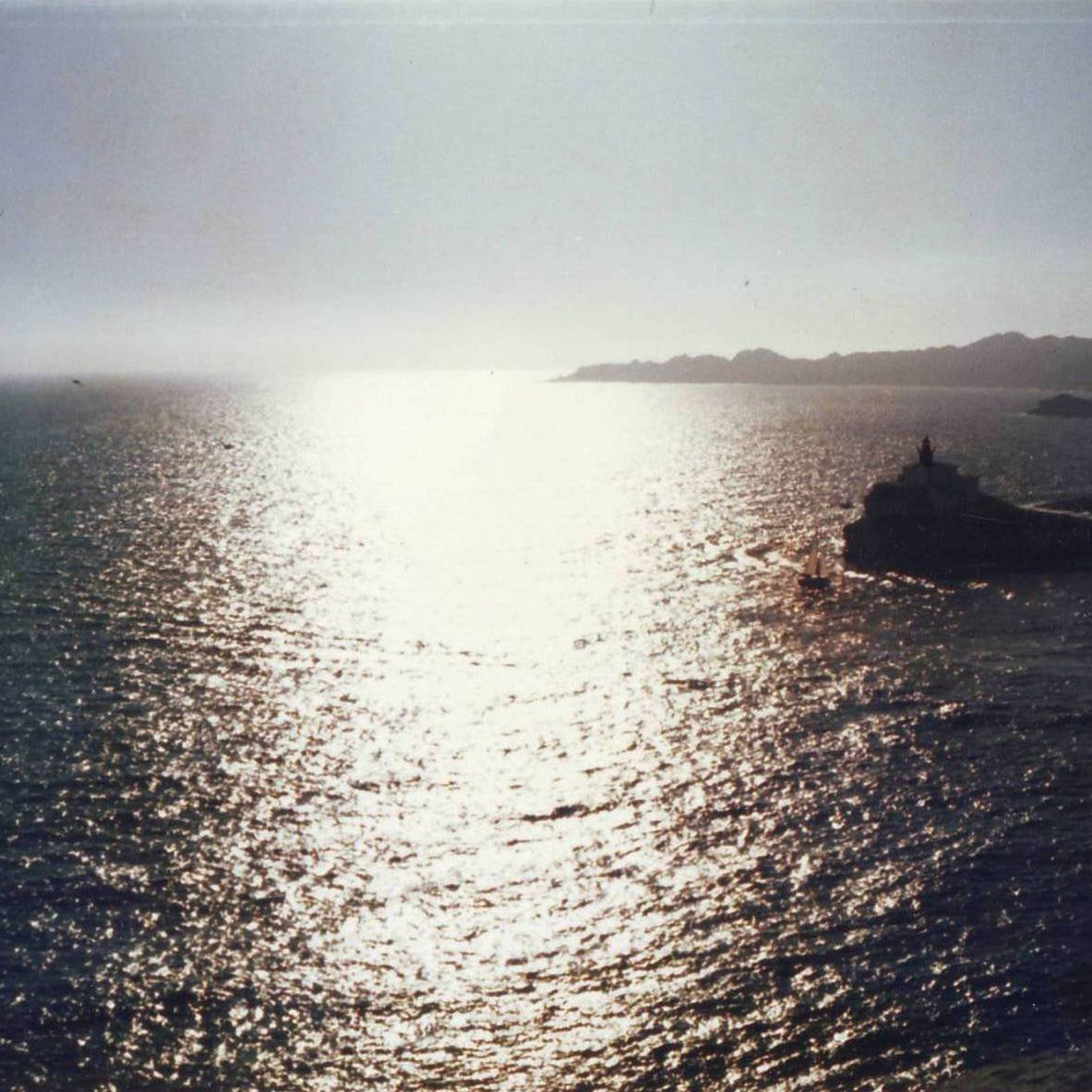 corse1993 vinzisdead 