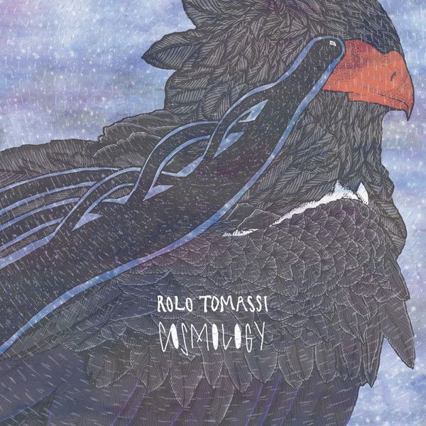 cosmology rolo tomassi 