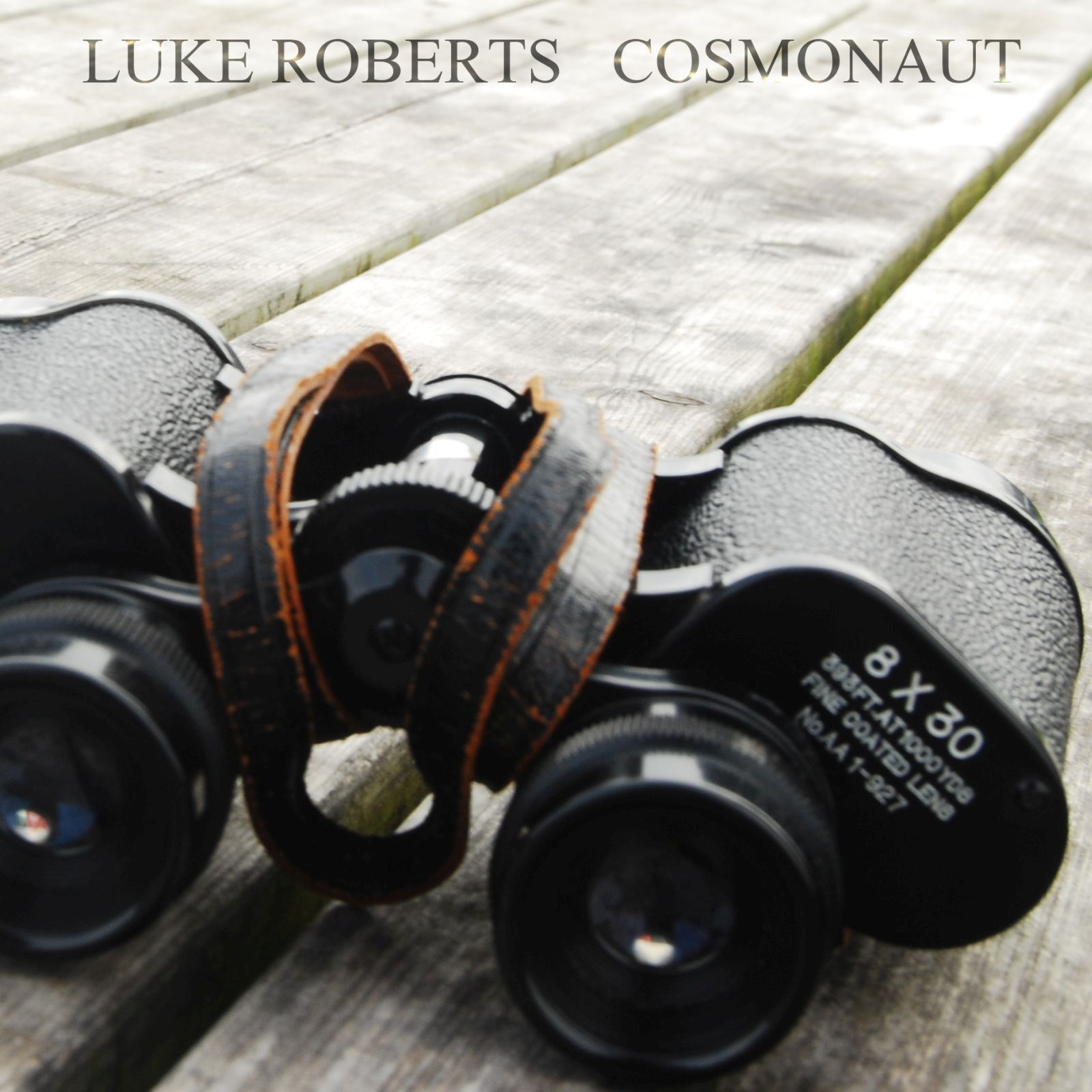 cosmonaut hey sleeper 