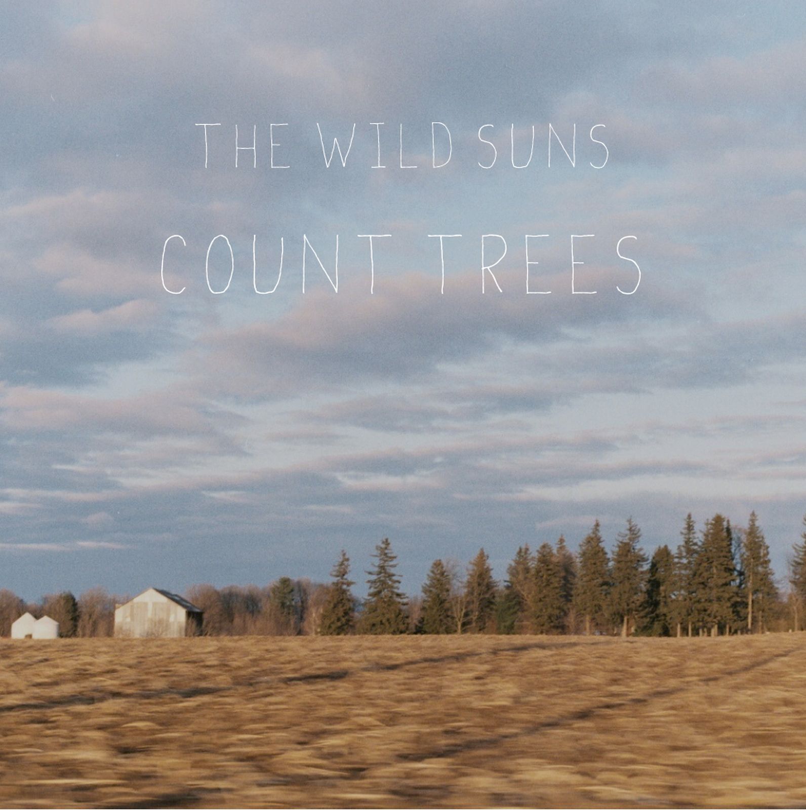 count trees the wild suns 