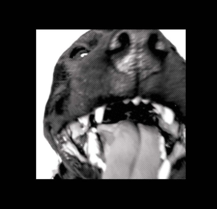 country moonwalk flats 