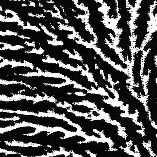 cover the windows an grouper 