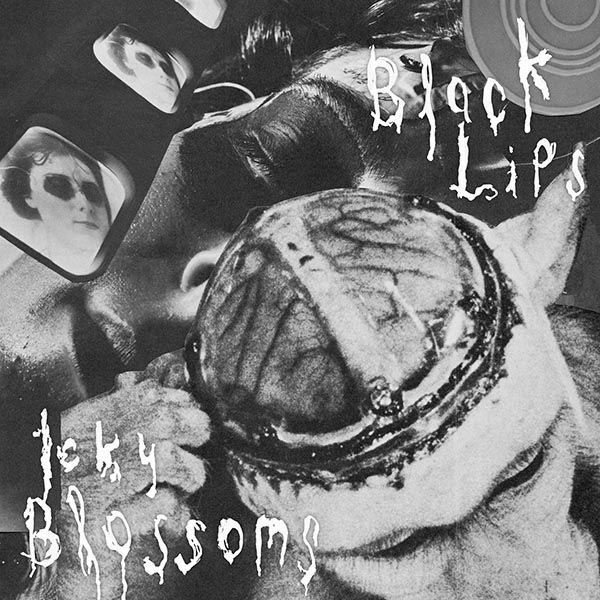 cowboy knights black lips 
