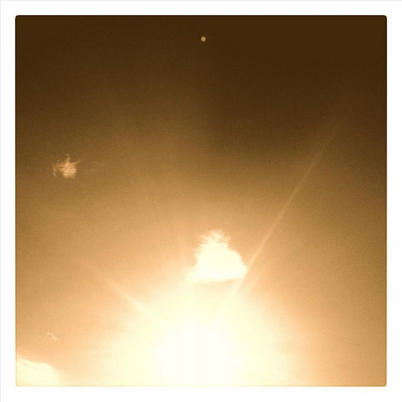 coyote medicine lory larsson aka lol 