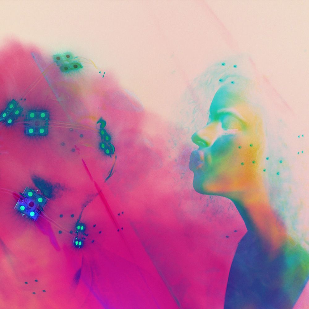 coyote trickster coyote trickster 