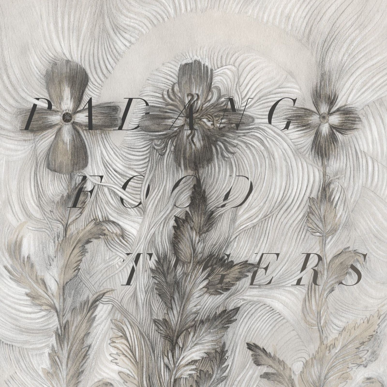 crabbing king sappli lake mary 