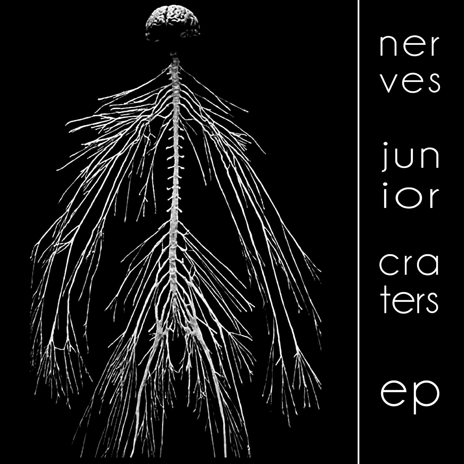 craters ep nerves junior 