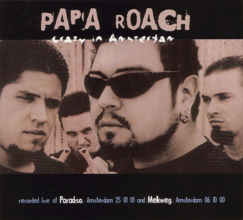 crazy in amsterdam papa roach 