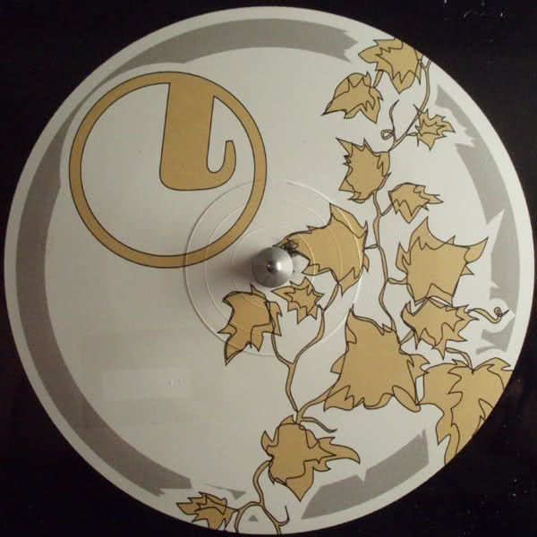 credence sharon3 mutt 