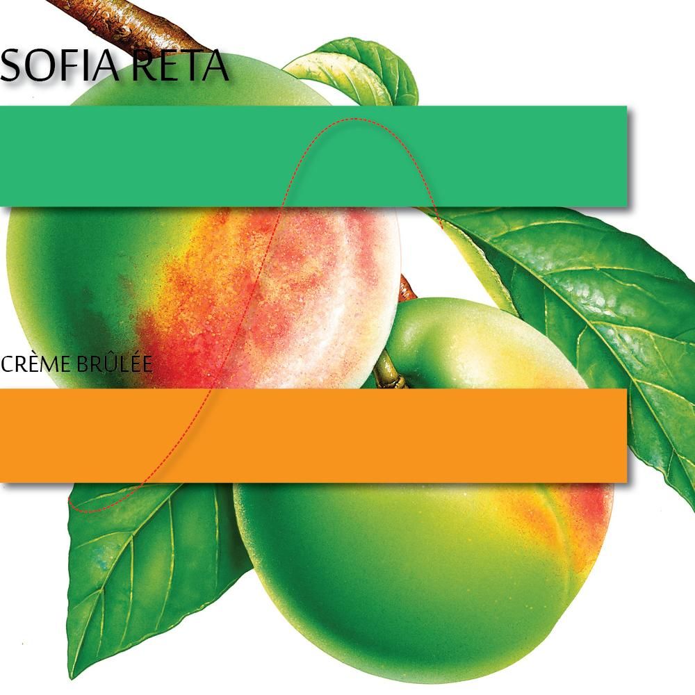 creme brucir sofia reta 