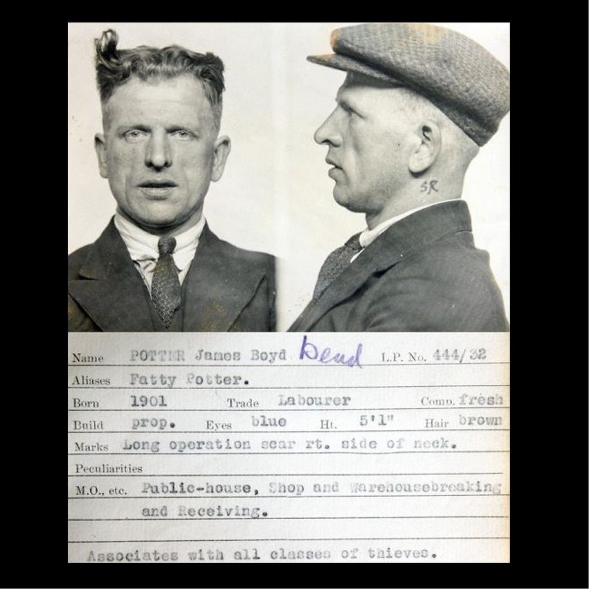 criminal silhouette rising aac  