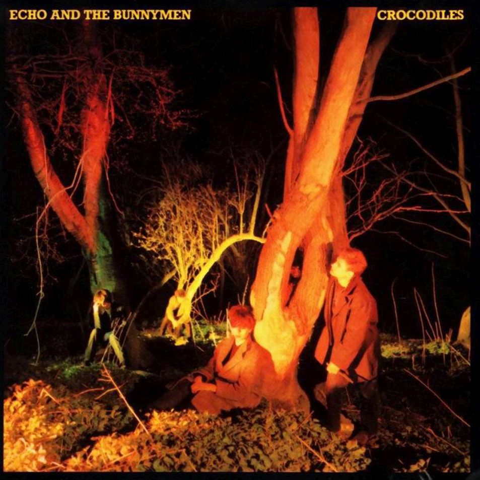 crocodiles echo the bunnymen  