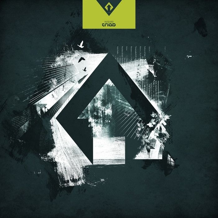 crooked the puzzle triad  