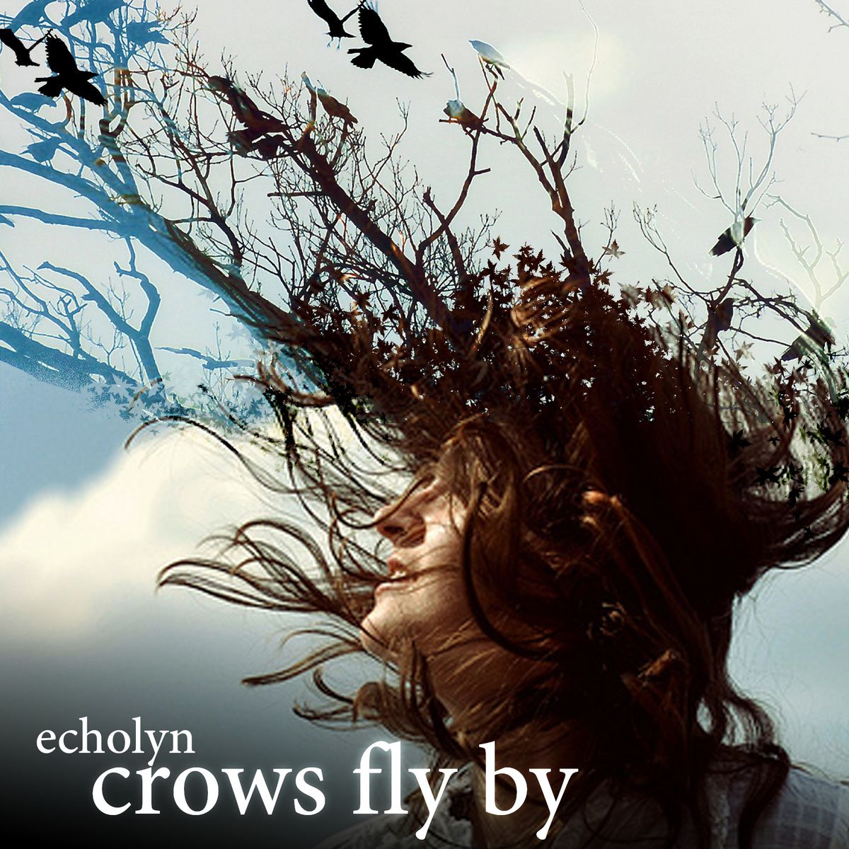 crows fly by echolyn 