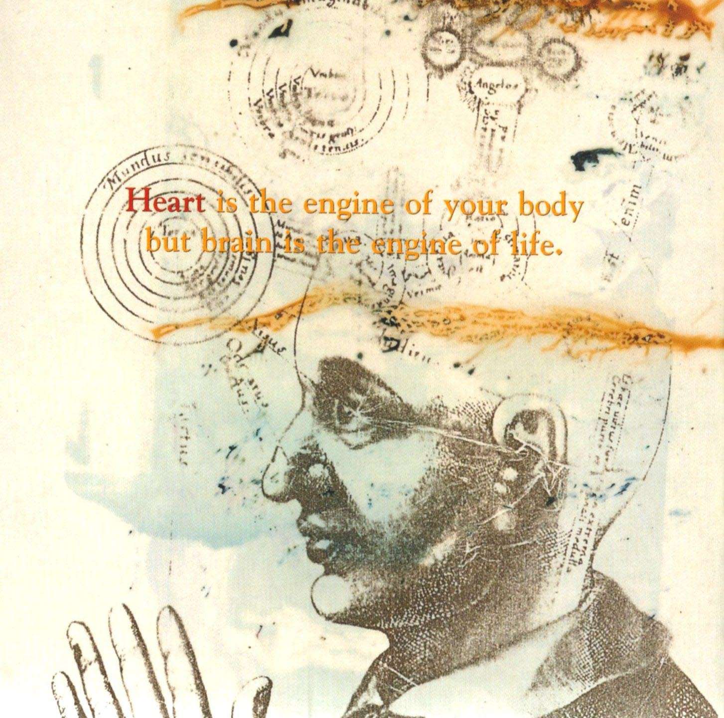 Enigma LoveSensualityDevotionTheGreatestHits Inlay02