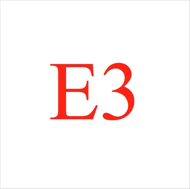 e3 issue  