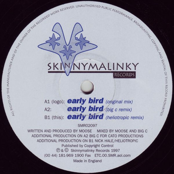 early bird satellite 