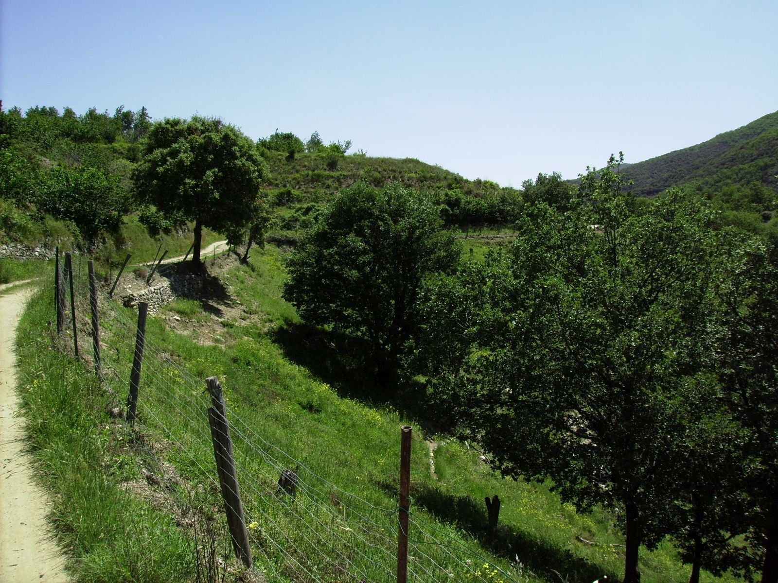 early demos the lobbyists 