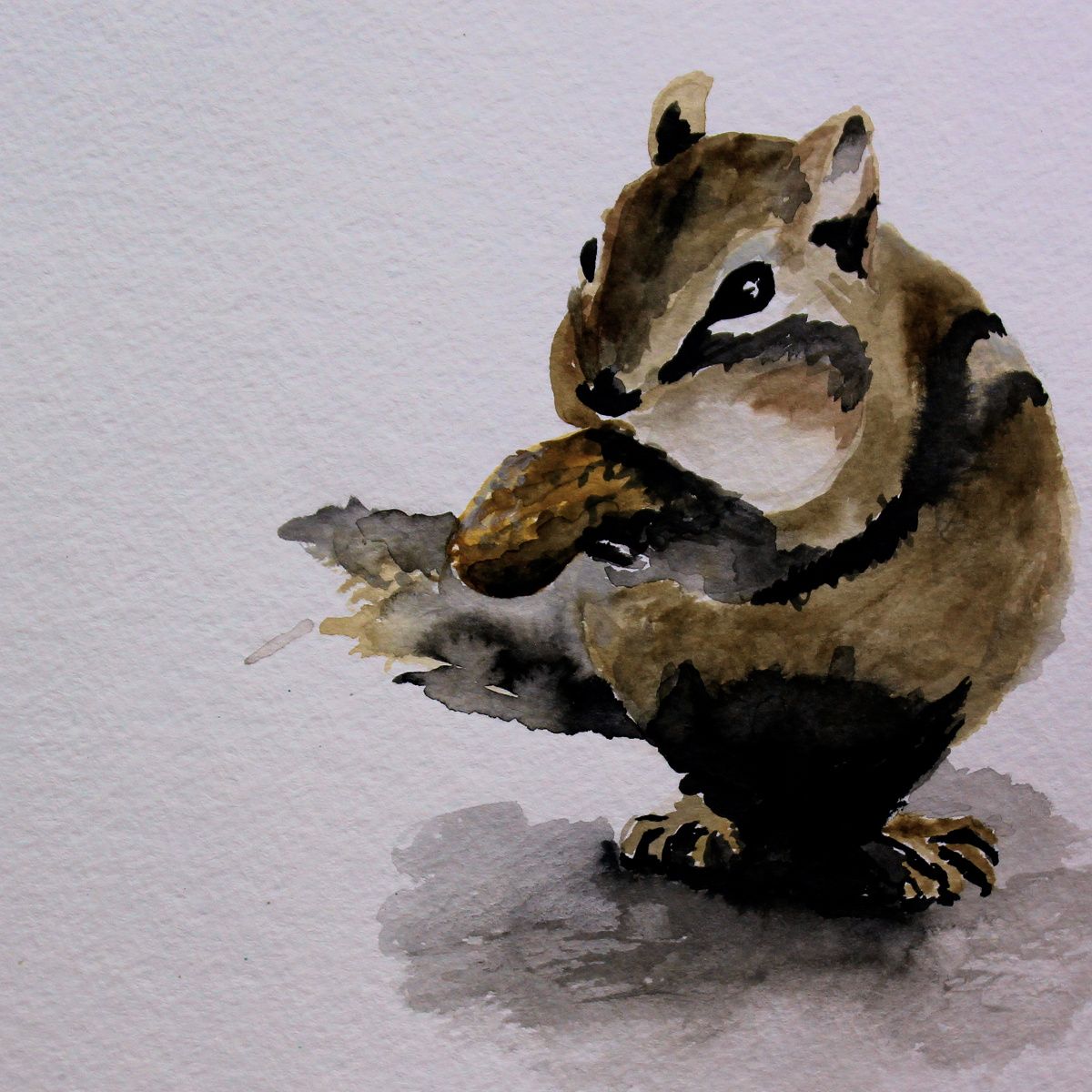 early losses oscifer 