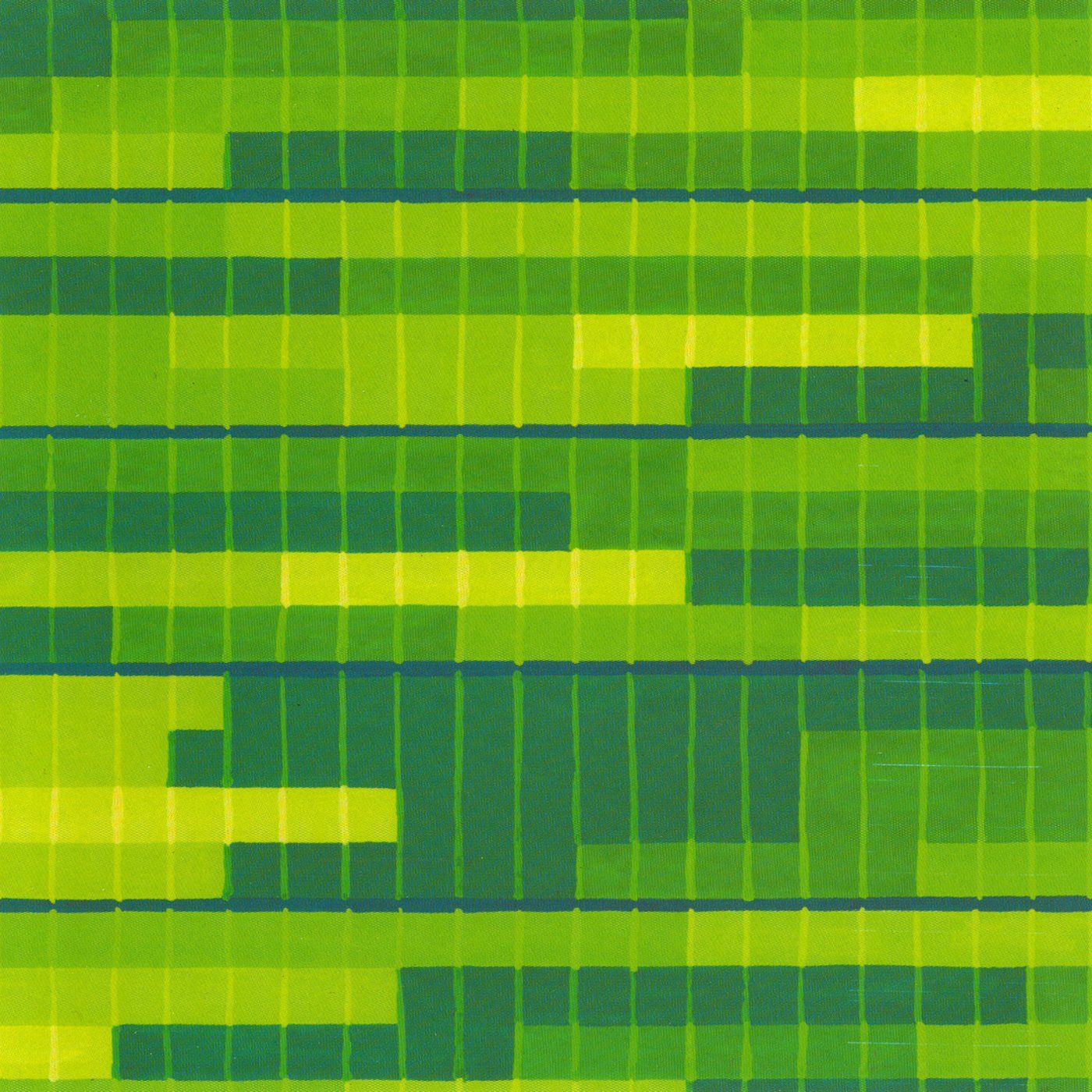 early works rafael toral 