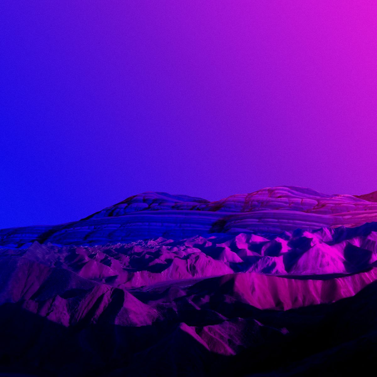 earth home destroy dream koala 