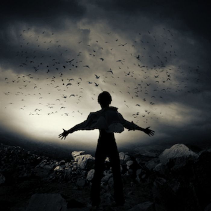 earth to world projected twin 