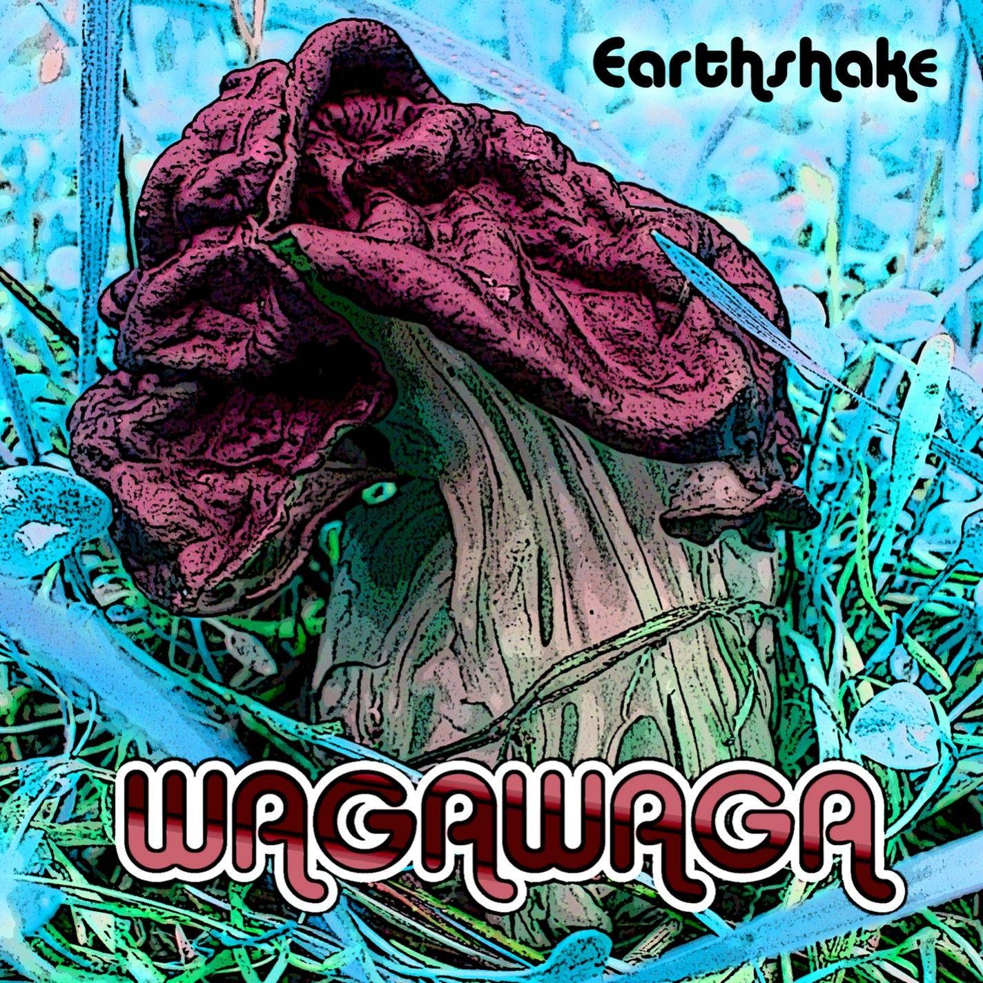 earthshake wagawaga 