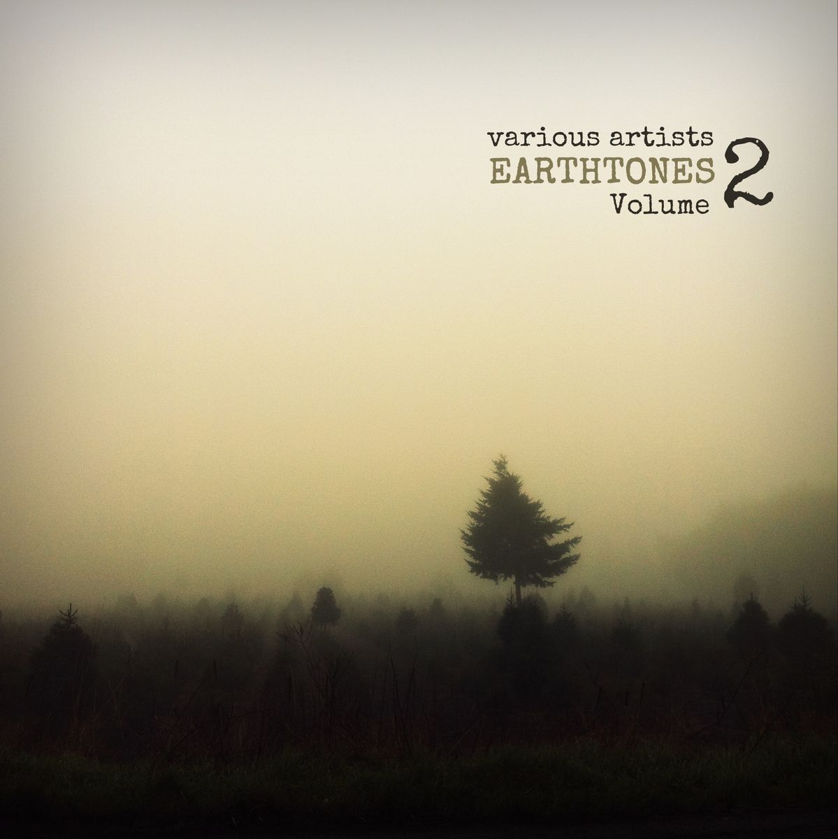 earthtones volume 2 ben fleury steiner 