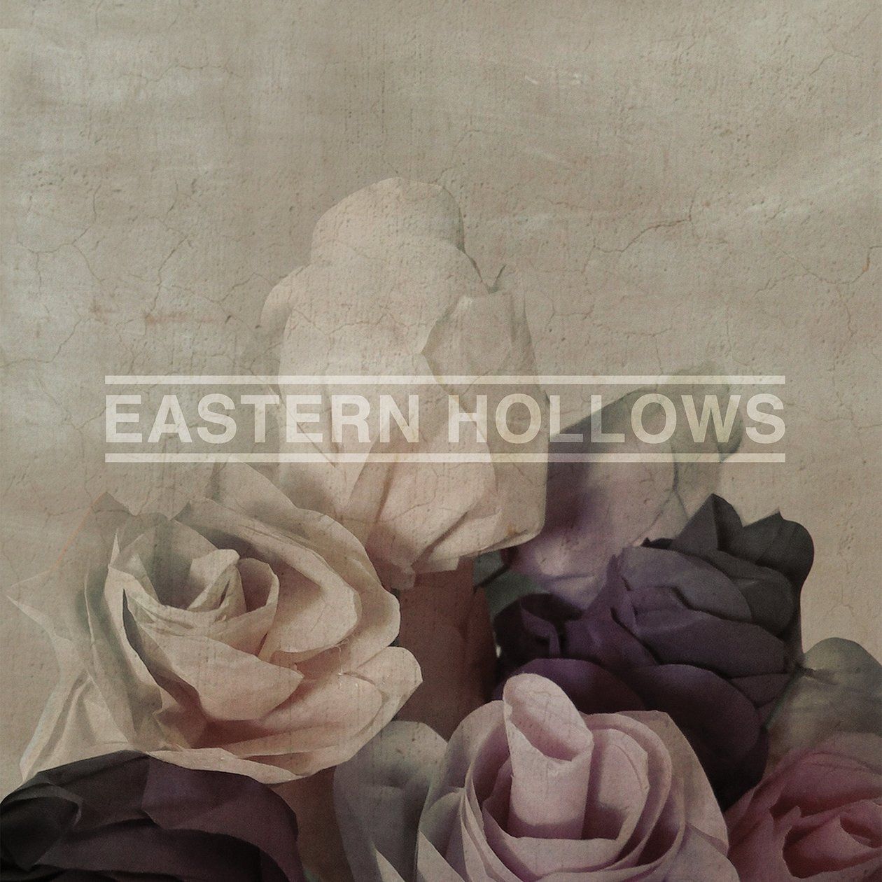eastern hollows eastern hollows 