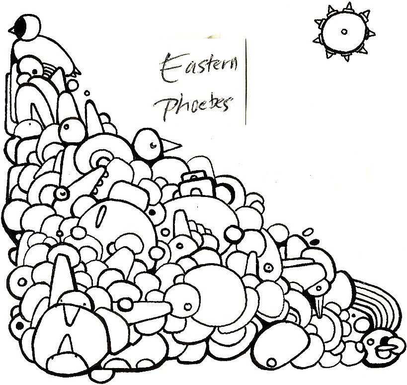 eastern phoebes eastern phoebes 