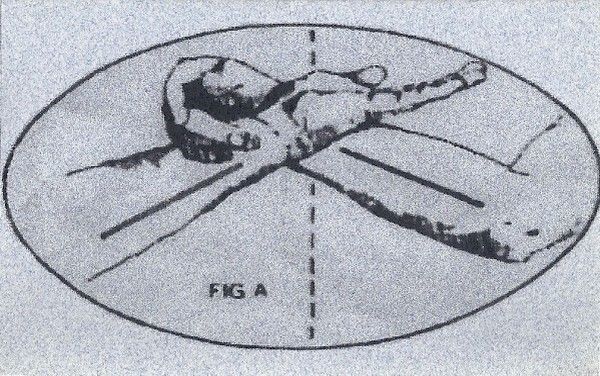 eastman evergr baxter 