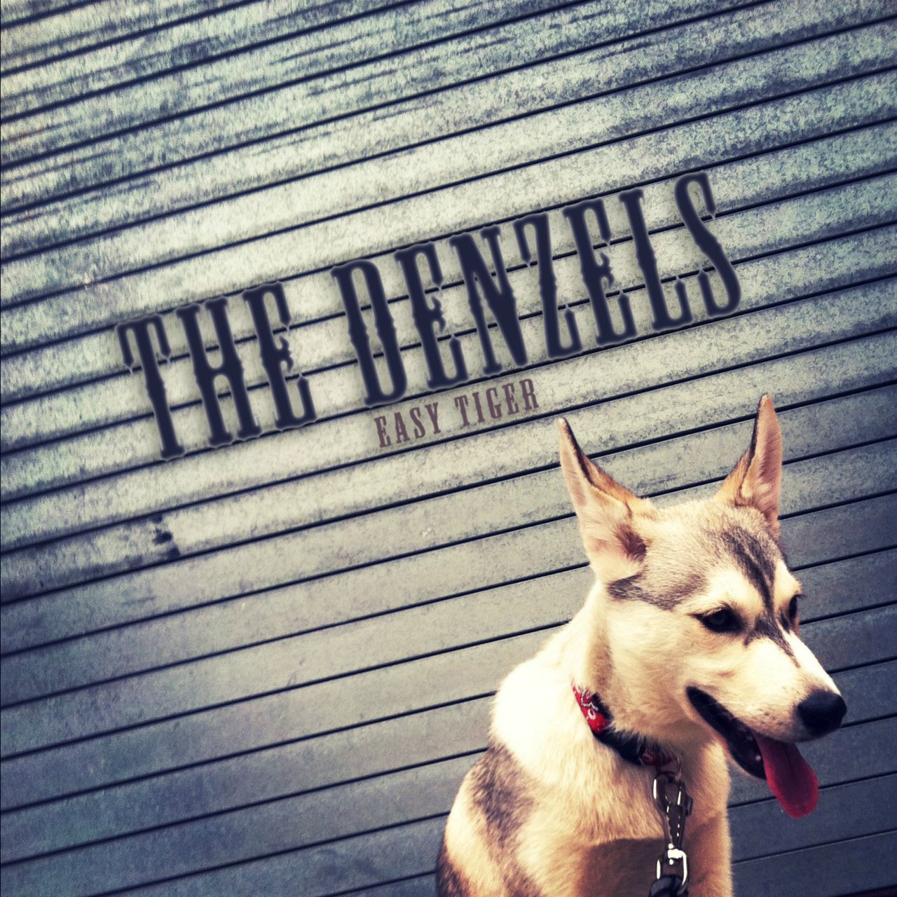 easy tiger ep the denzels 