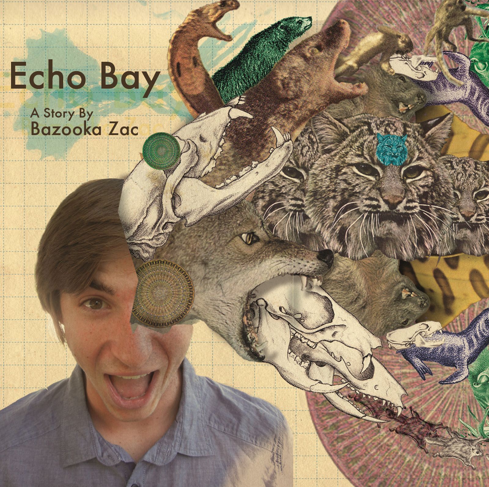 echo bay bazooka zac 