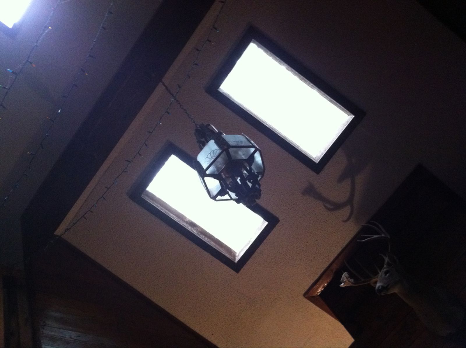 echo chamber hola beach 