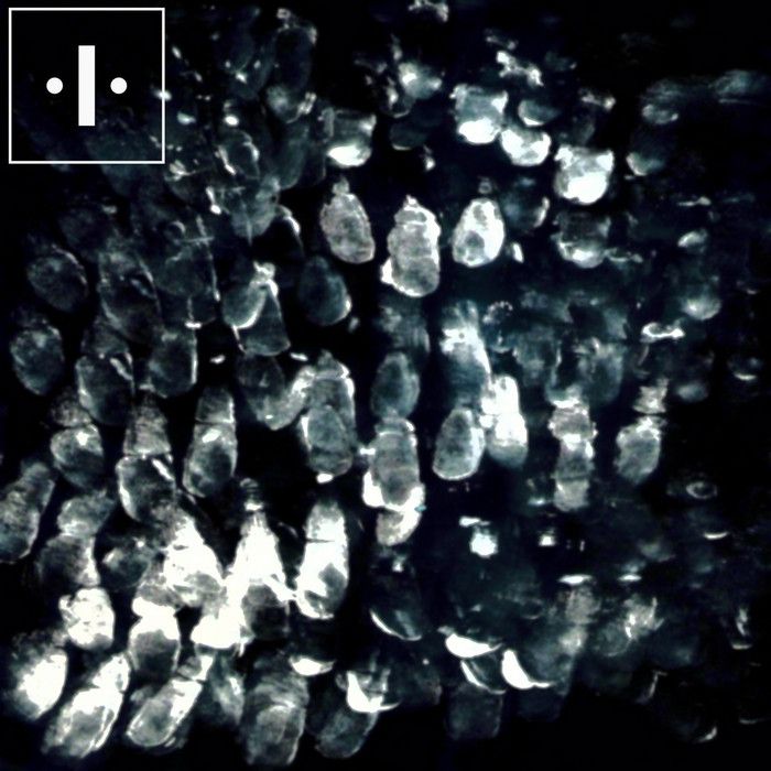 echo heads movement felix lorusso  