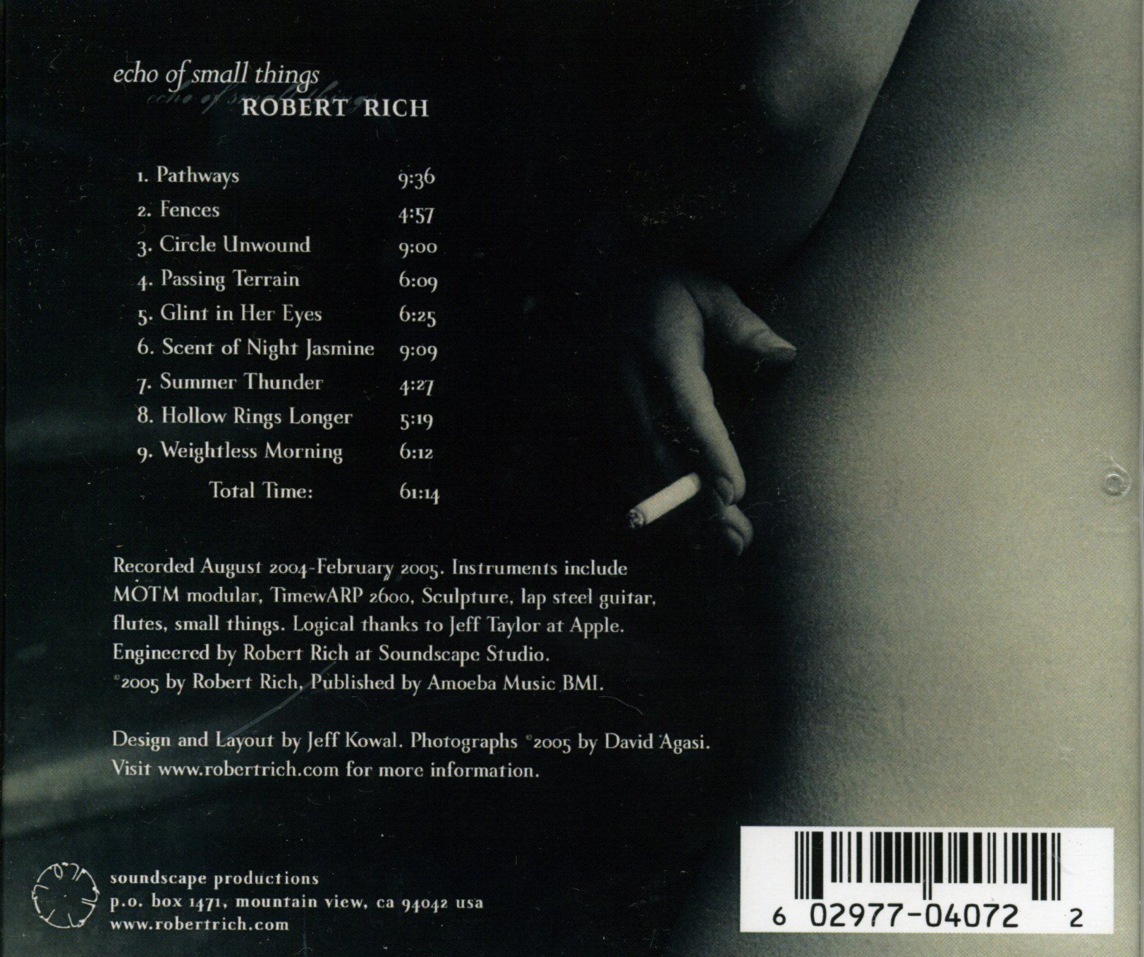 echo of small things robert rich 