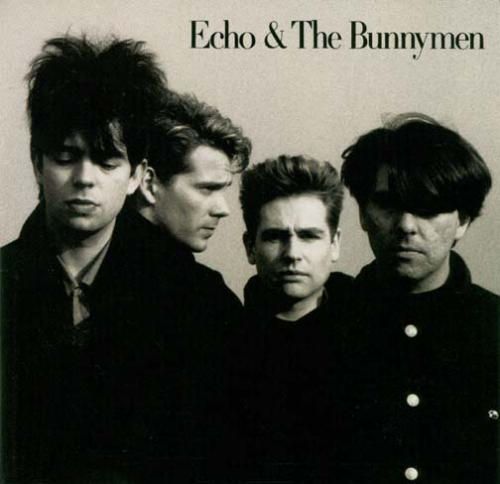 echo the bunny echo the bunnymen 