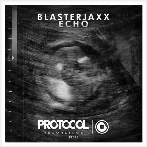 echo blasterjaxx 