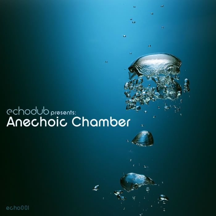 echodub presents an absense  