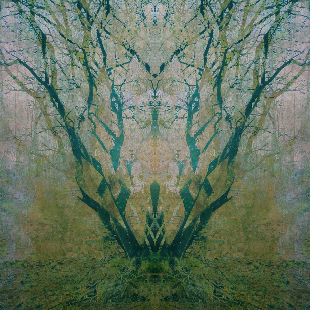 echoes ep look see land 