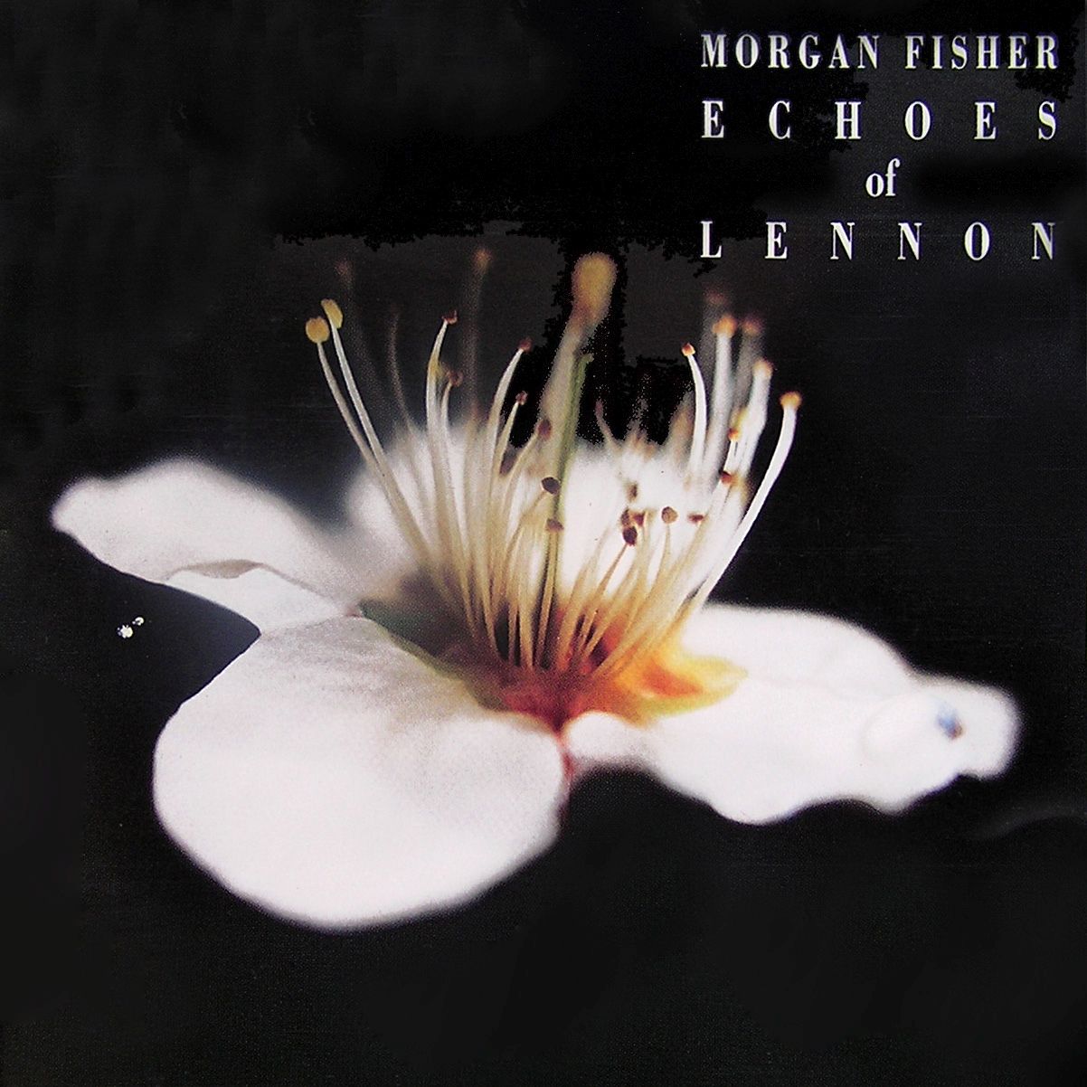 echoes of lennon morgan fisher 