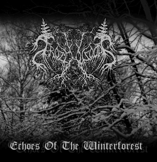 echoes of the winter frozenwoods 